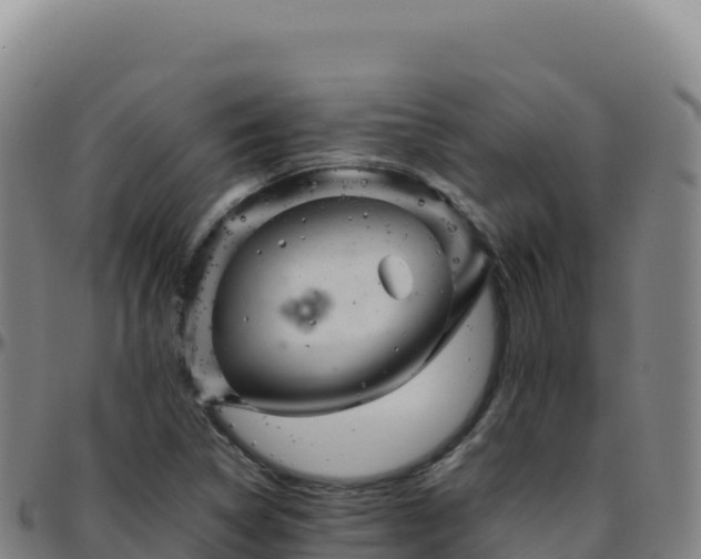 X0000096481314200801311547