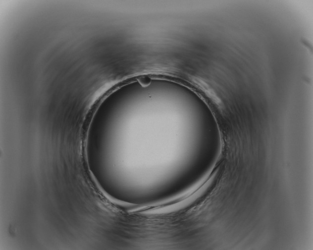 X0000096481316200801311547