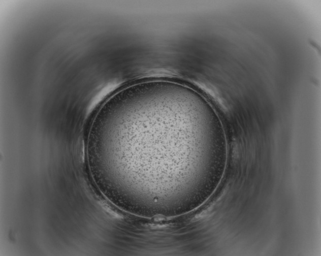 X0000096481317200801311547