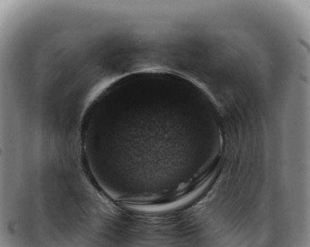 X0000096481319200801311547