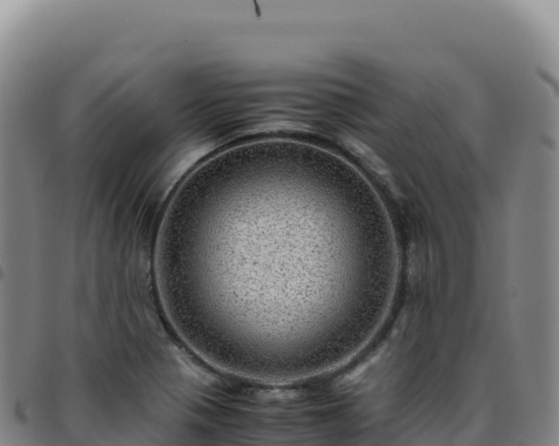 X0000096481321200801311547