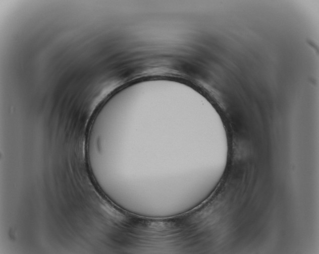 X0000096481322200801311547