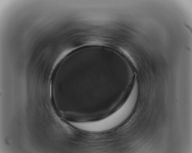 X0000096481323200801311547