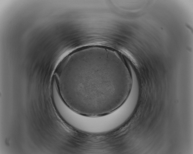 X0000096481324200801311547