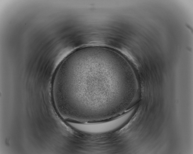 X0000096481325200801311547