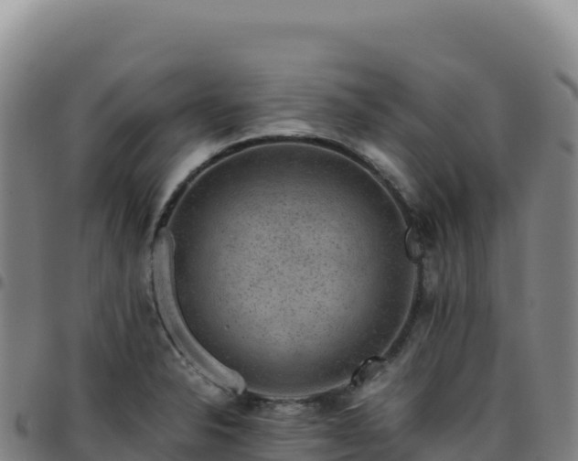 X0000096481326200801311548