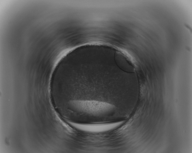 X0000096481327200801311548