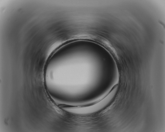 X0000096481328200801311548