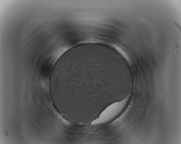 X0000096481329200801311548