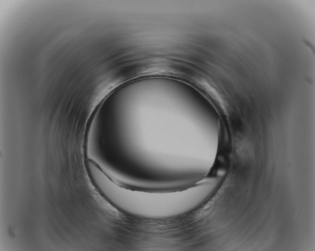 X0000096481330200801311548