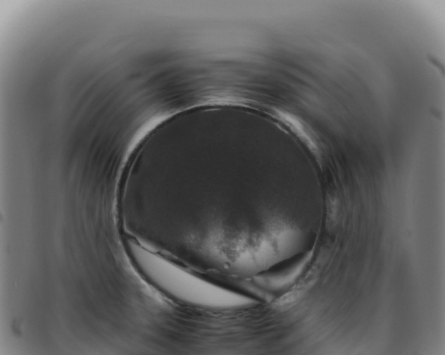 X0000096481331200801311548