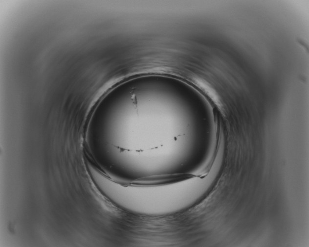 X0000096481332200801311548