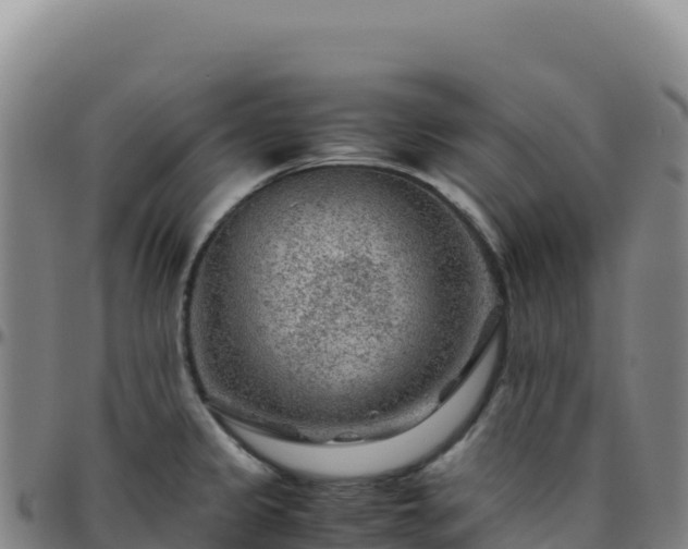 X0000096481333200801311548