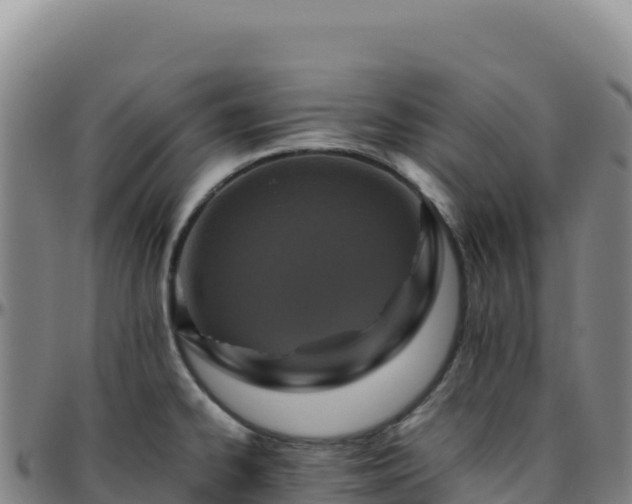 X0000096481334200801311548