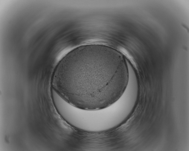 X0000096481336200801311548