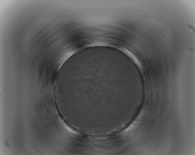 X0000096481337200801311548