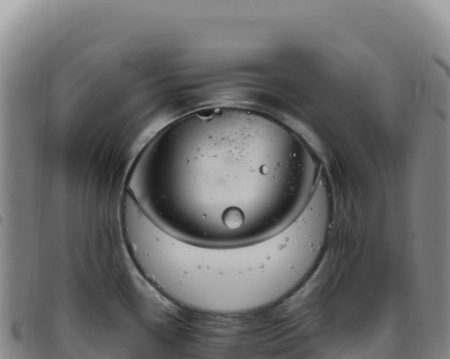 X0000096481338200801311548