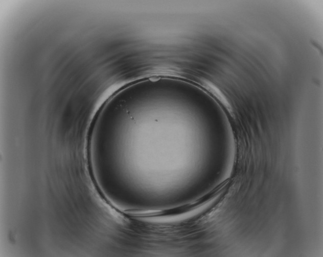 X0000096481339200801311548