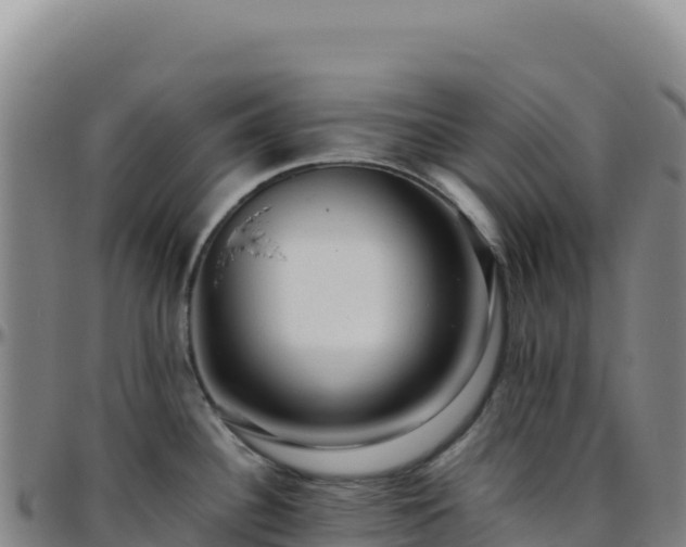 X0000096481340200801311548