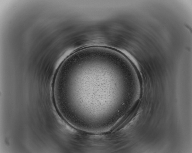 X0000096481341200801311548