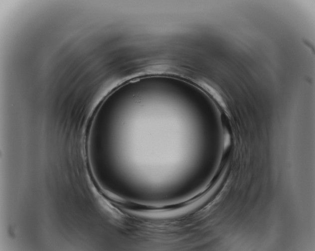 X0000096481342200801311548