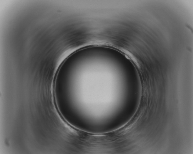 X0000096481343200801311548