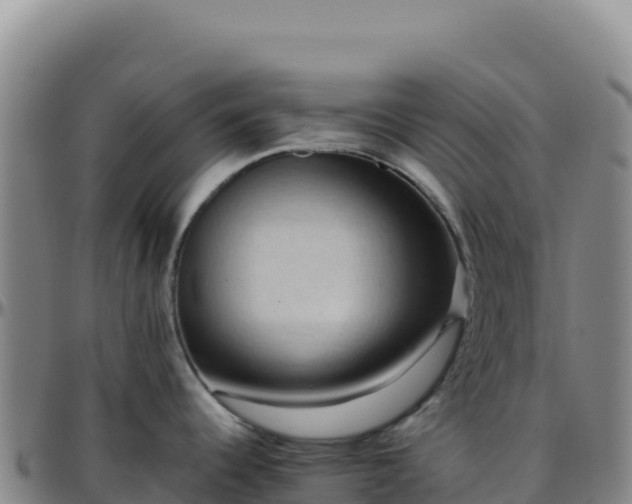 X0000096481344200801311548