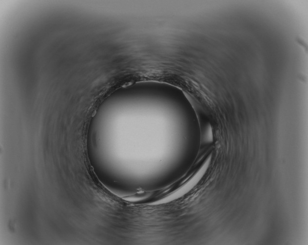 X0000096481345200801311547