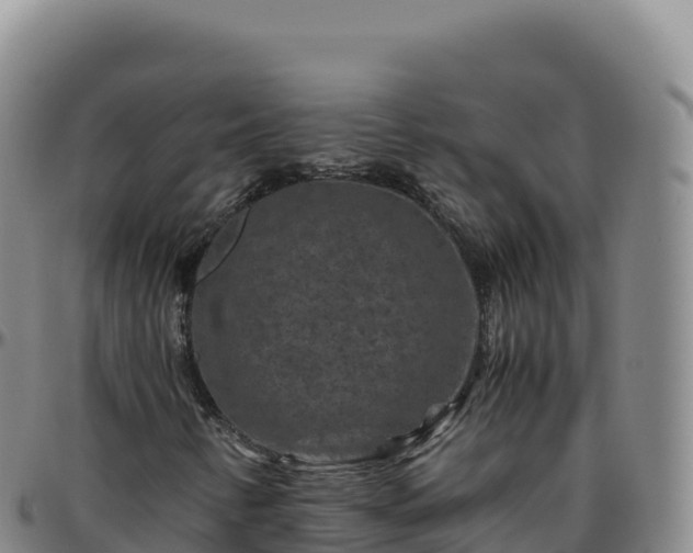 X0000096481346200801311547