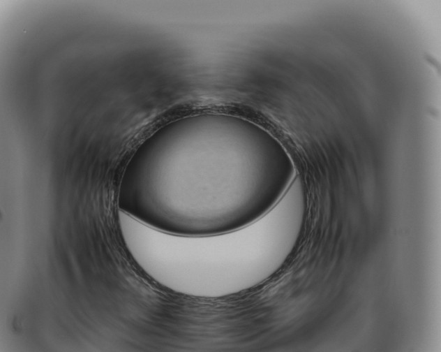 X0000096481348200801311547