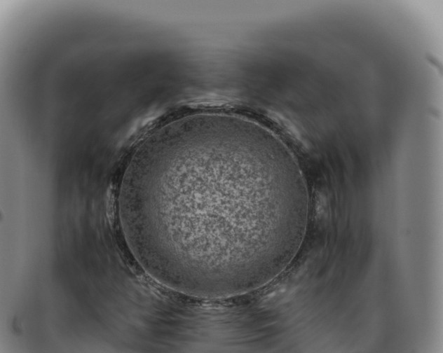 X0000096481350200801311547