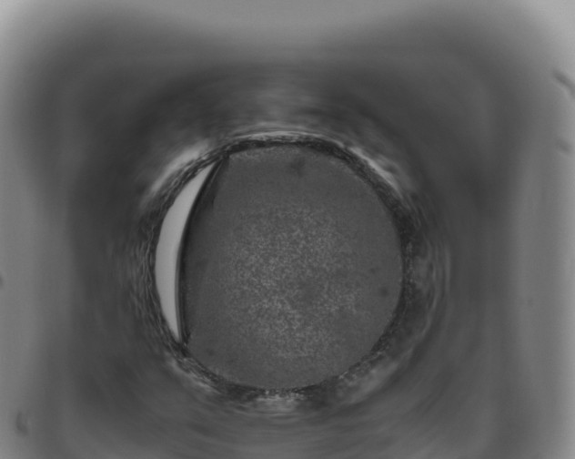 X0000096481351200801311547