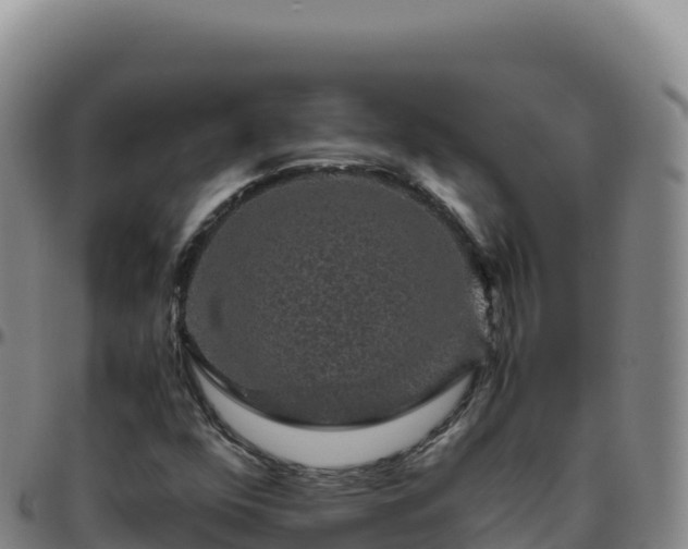 X0000096481352200801311547