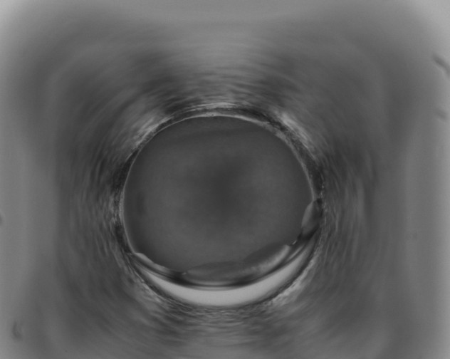 X0000096481353200801311547