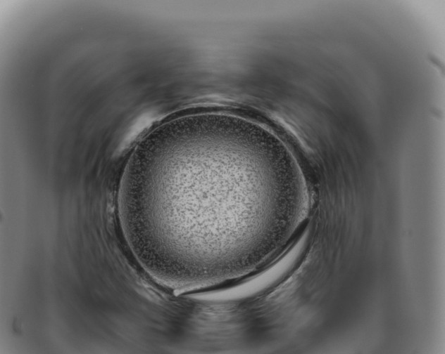 X0000096481355200801311547