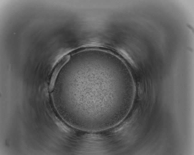 X0000096481356200801311547