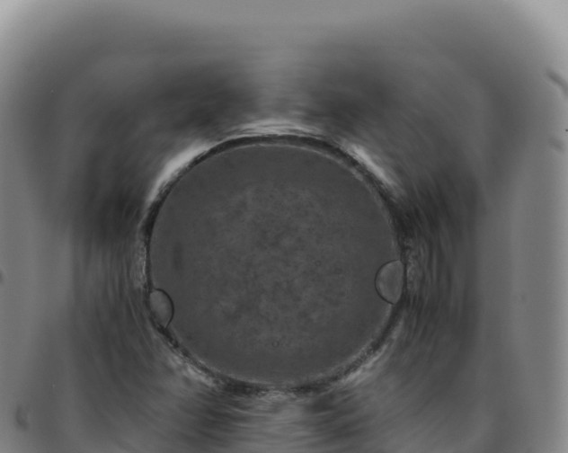 X0000096481358200801311547