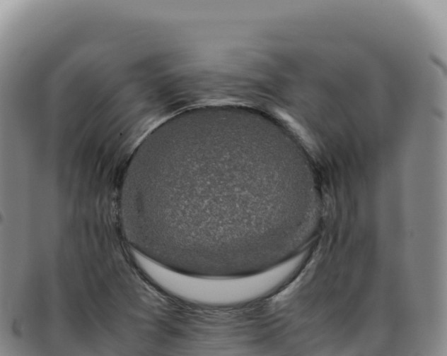 X0000096481361200801311547