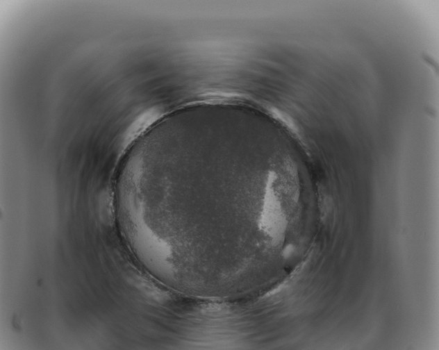 X0000096481362200801311547