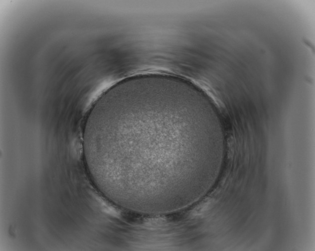 X0000096481363200801311547