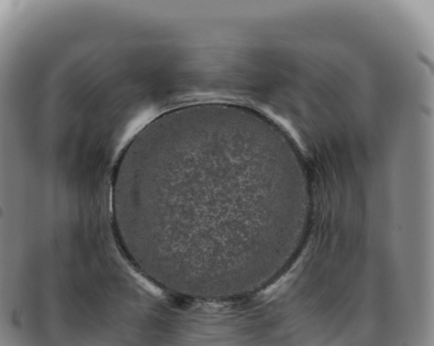 X0000096481365200801311547