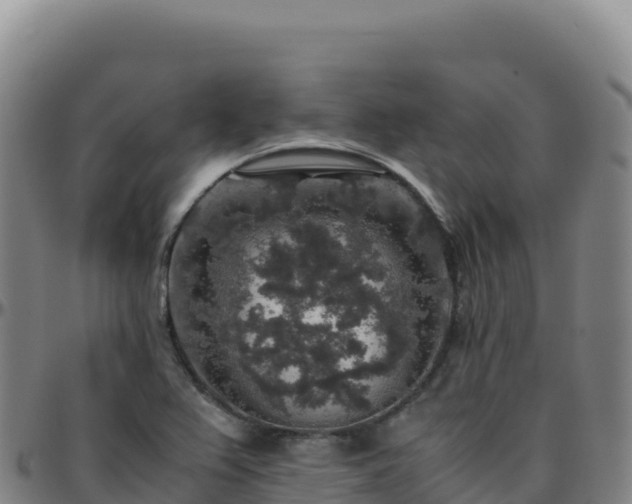 X0000096481367200801311547