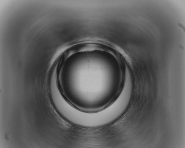 X0000096481368200801311547