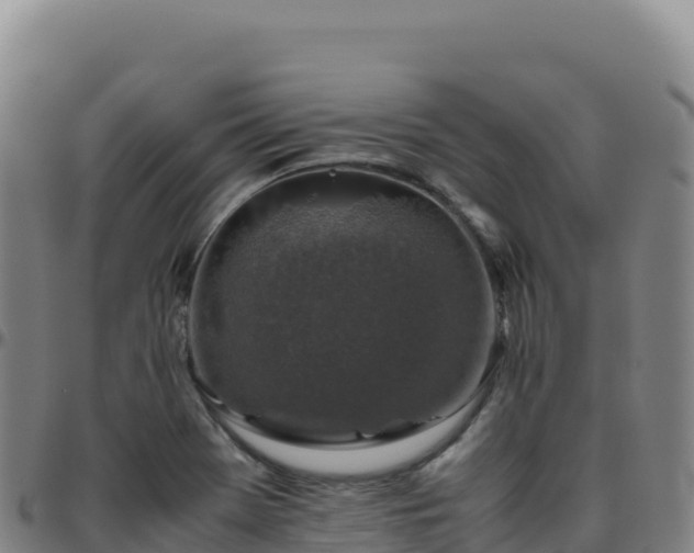 X0000096481369200801311547