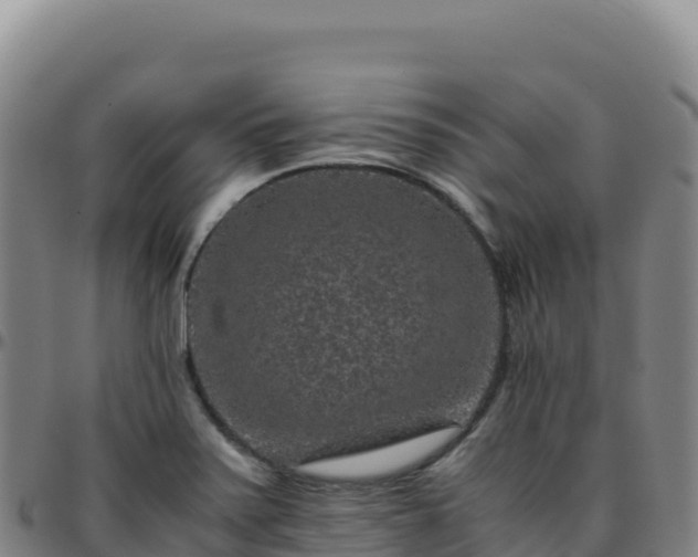 X0000096481371200801311547