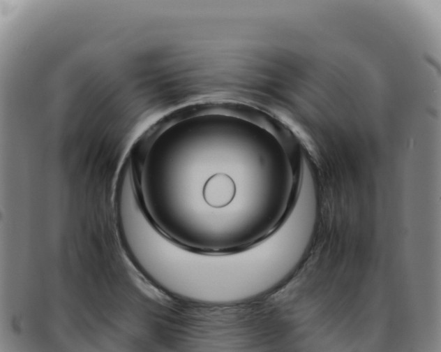 X0000096481372200801311547