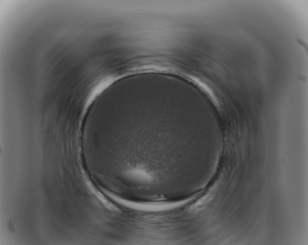 X0000096481373200801311547