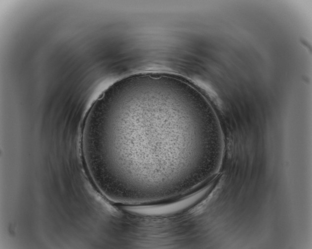 X0000096481374200801311547