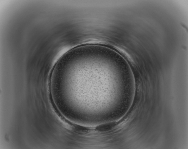 X0000096481375200801311547