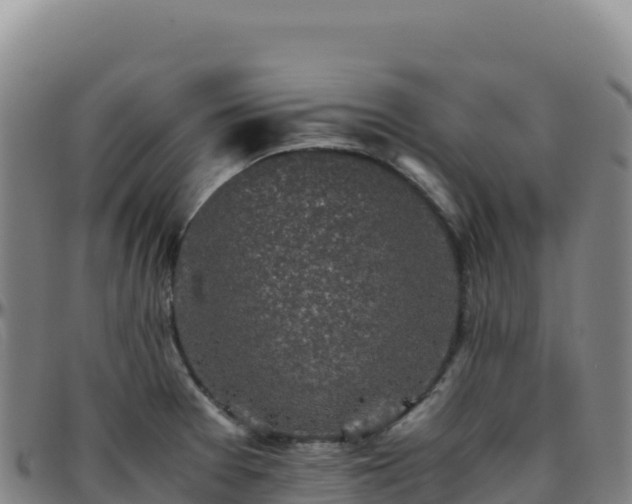 X0000096481377200801311547